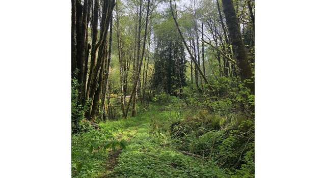 Photo of 0 Mustola Rd, Clatskanie, OR 97016