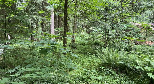 Photo of Arthur Hailey Rd, Rhododendron, OR 97049