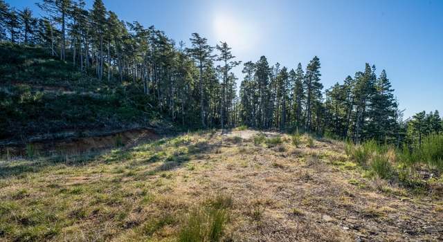 Photo of Highland-lot1 Dr, Oceanside, OR 97134