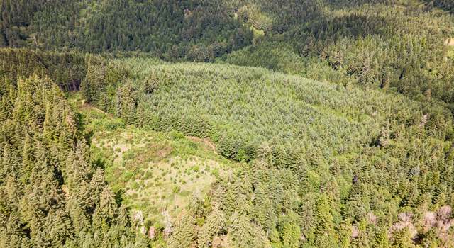 Photo of Curtin Rd, Cottage Grove, OR 97424