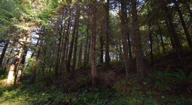 Photo of 0 Stage Rd, North Bend, OR 97459