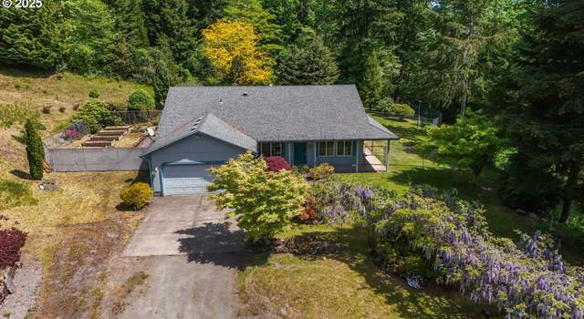 Photo of 24802 NE 432nd St, Amboy, WA 98601
