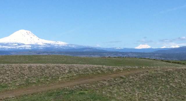 Photo of Festus, Goldendale, WA 98620