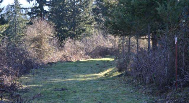 Photo of First Creek Dr #808, Lebanon, OR 97355