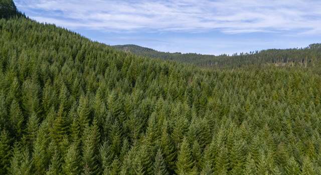 Photo of Wicks Rd, Dorena, OR 97434
