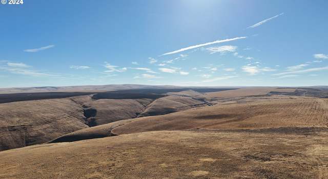 Photo of 10600 Hwy 206, Condon, OR 97823