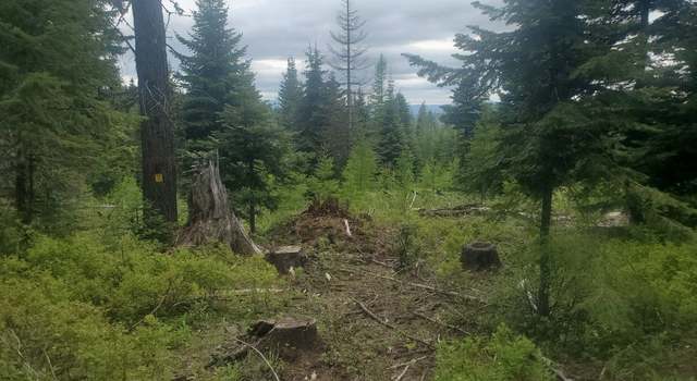 Photo of Coyote Ridge Rd, Weston, OR 97886