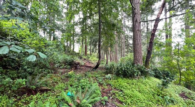 Photo of Videra Dr, Eugene, OR 97405