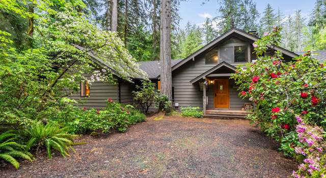 Photo of 55494 Mckenzie River Dr, Blue River, OR 97413