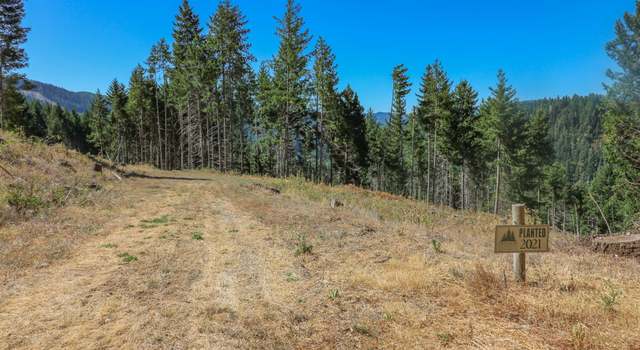 Photo of 0 Osprey Dr, Umpqua, OR 97486
