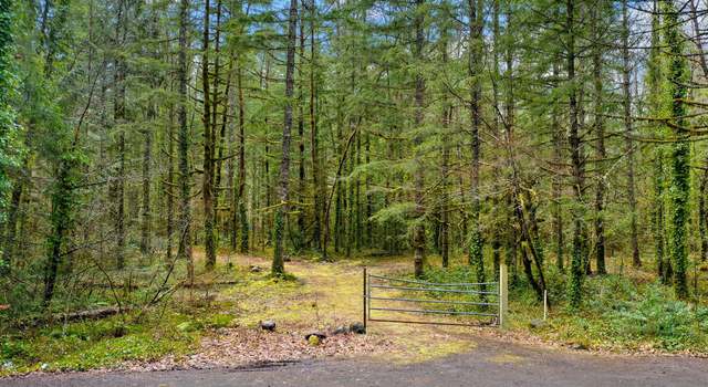 Photo of E Barlow Trail Rd, Brightwood, OR 97011
