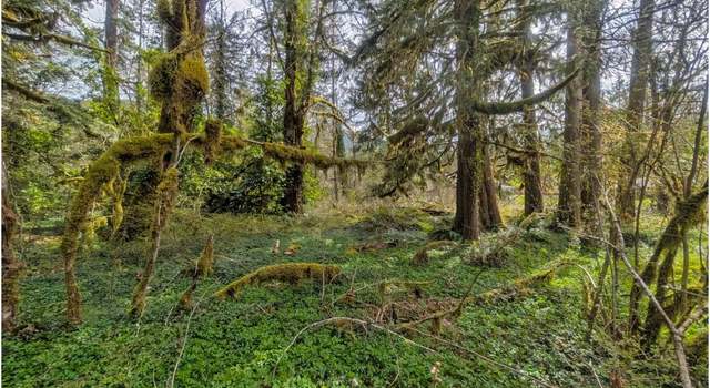 Photo of 0 E Plaza Trl, Welches, OR 97067