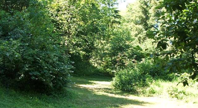Photo of 67898 Meissner Rd, Deer Island, OR 97054