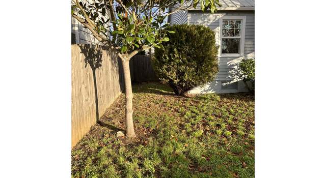 Photo of 312 W 39th St, Vancouver, WA 98660