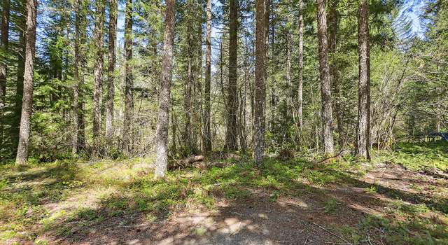 Photo of Foster Rd, Carson, WA 98610