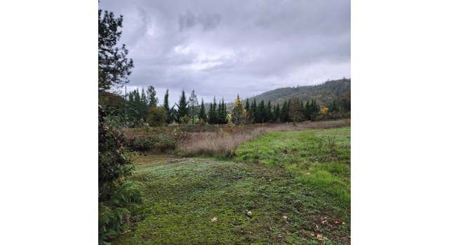 Photo of 0 Cedar St, Riddle, OR 97469