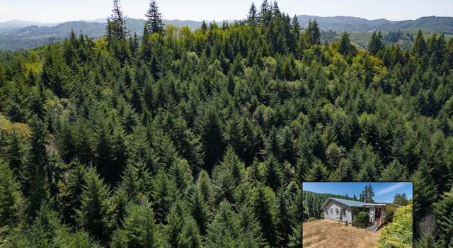 Photo of 92433 Ward Creek Ln, Myrtle Point, OR 97458