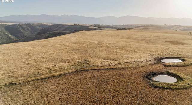 Photo of Deadhorse Ridge Rd, Joseph, OR 97846