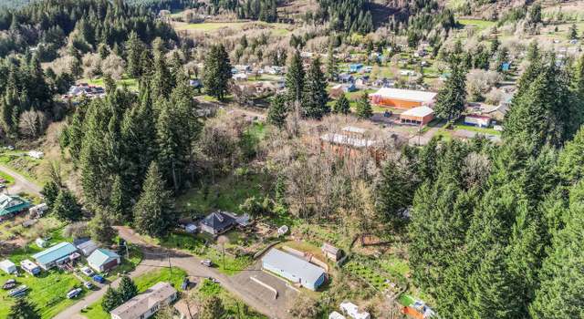 Photo of 156 Pine St, Falls City, OR 97344