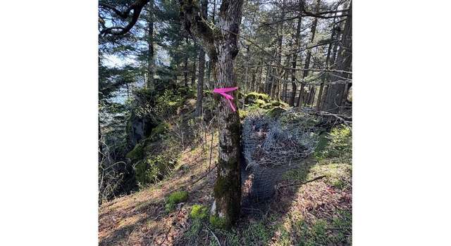 Photo of 4390 West Ridge Dr, Hood River, OR 97031