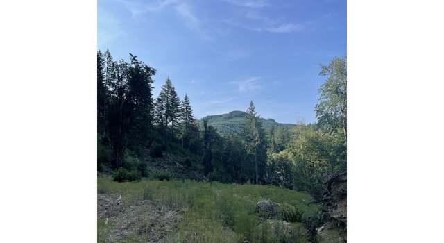 Photo of SW Pumpkinseed Rd, Willamina, OR 97396