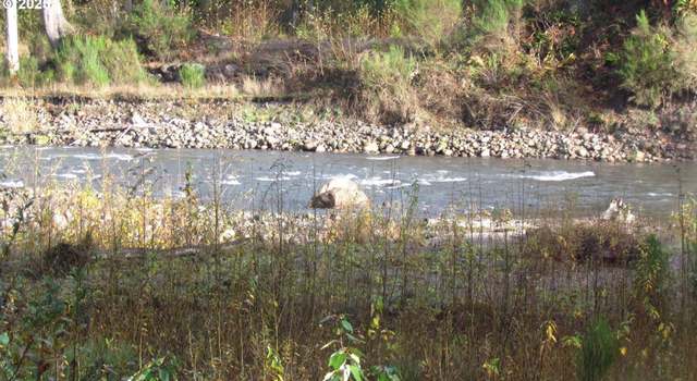 Photo of 27e32bc16001, Welches, OR 97067