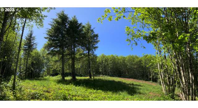 Photo of 182 White Dog Rd, Washougal, WA 98671