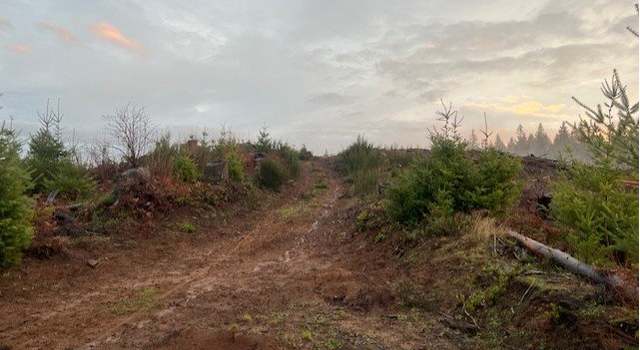 Photo of Ridge Rd #400, Buxton, OR 97109