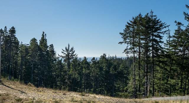 Photo of Roaring Tides-lot 4, Oceanside, OR 97134