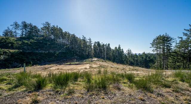 Photo of Roaring Tides-lot 4, Oceanside, OR 97134