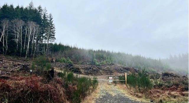 Photo of Highway 53, Seaside, OR 97138