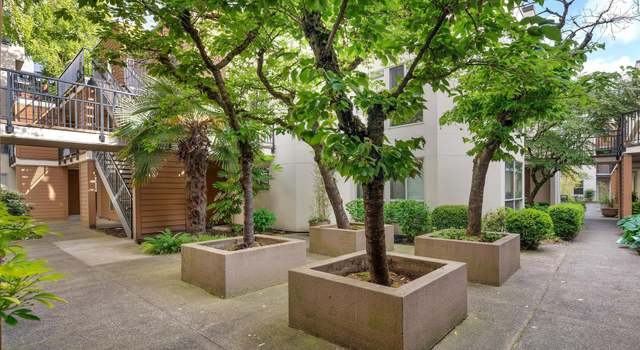 Photo of 1535 SW Clay St #238, Portland, OR 97201