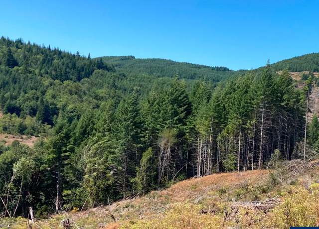 Property at Tax Lot # 869112 Rd, Coquille, OR 97423