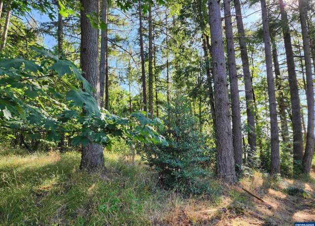 Property at Unassigned Chad (3307) Ave NW, Albany, OR 97321