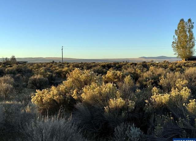 Property at TL 900 Christmas Vly, Christmas Valle, OR 97641
