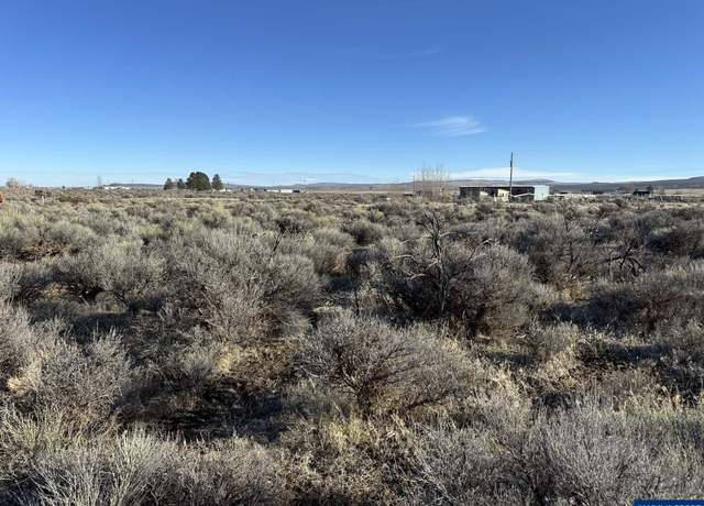 Property at L-3000 Cedar St, Christmas Valle, OR 97641