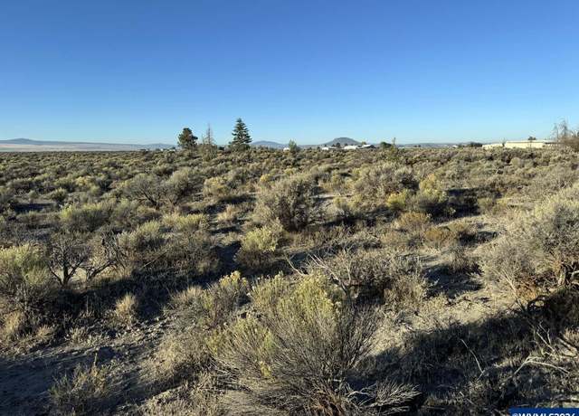 Property at TL-2100 Christmas Vly, Christmas Valle, OR 97641