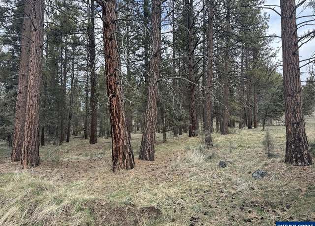 Property at L 57 Spoonbill Dr, Bonanza, OR 97623