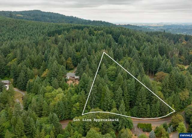 Property at TL 755377 Bartels Crk, Lebanon, OR 97355