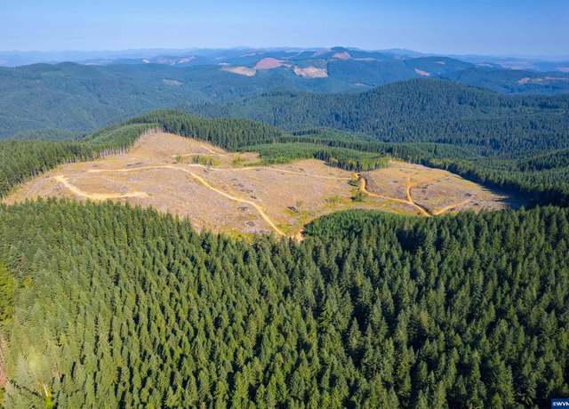 Property at 0 Bald Mtn, Beaver, OR 97108