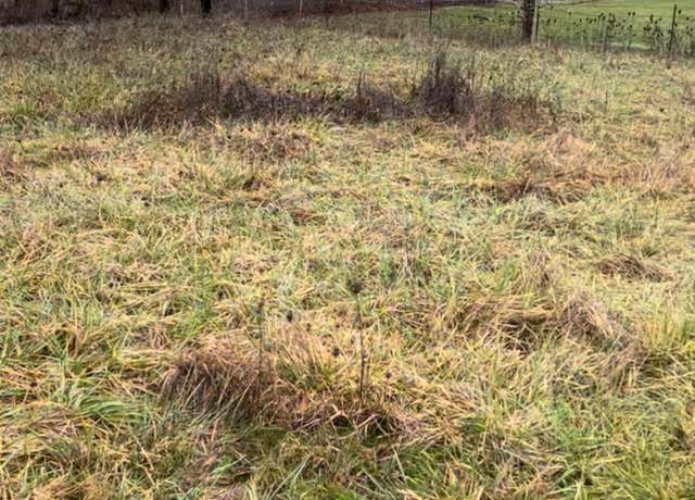 Property at 662 (adjacent) N 12th St, Philomath, OR 97370