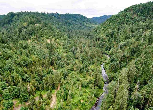 Property at Silver Creek Canyon (R38780), Silverton, OR 97381