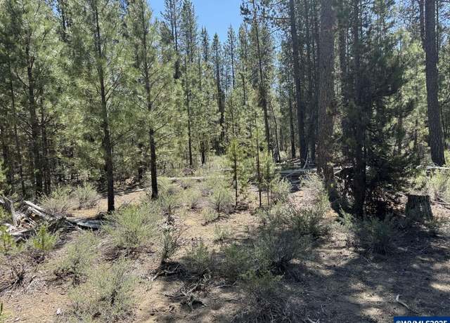 Property at TL 300 NF 9768 Rd Ofc NF, Crescent, OR 97730