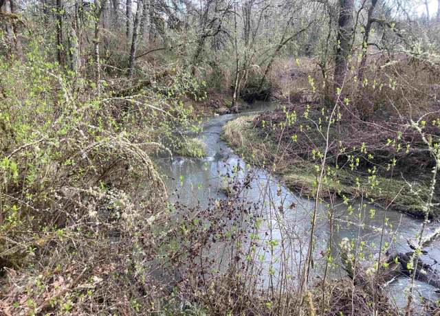 Property at PP  2020-049 #2 N of Spring Meadow Subdivision, Albany, OR 97321
