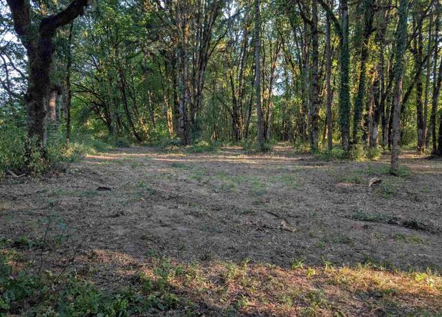 Property at PP  2020-049 #2 N of Spring Meadow Subdivision, Albany, OR 97321