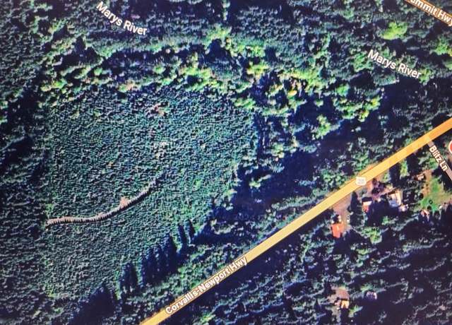 Property at 21166 (next to) Byrd Ln, Blodgett, OR 97326