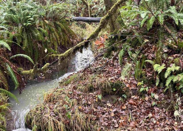 Property at Tax Act #127559 Iris Cir, Philomath, OR 97370