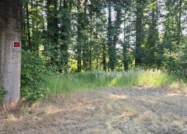 Property at TL2500 Grape St, Sweet Home, OR 97386
