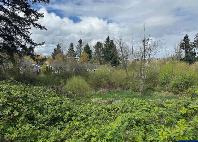 Property at Off Spicetree Ln, Salem, OR 97306