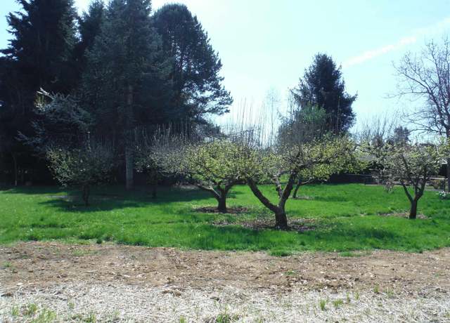 Property at NE Broadway St Lot 7, Sublimity, OR 97385
